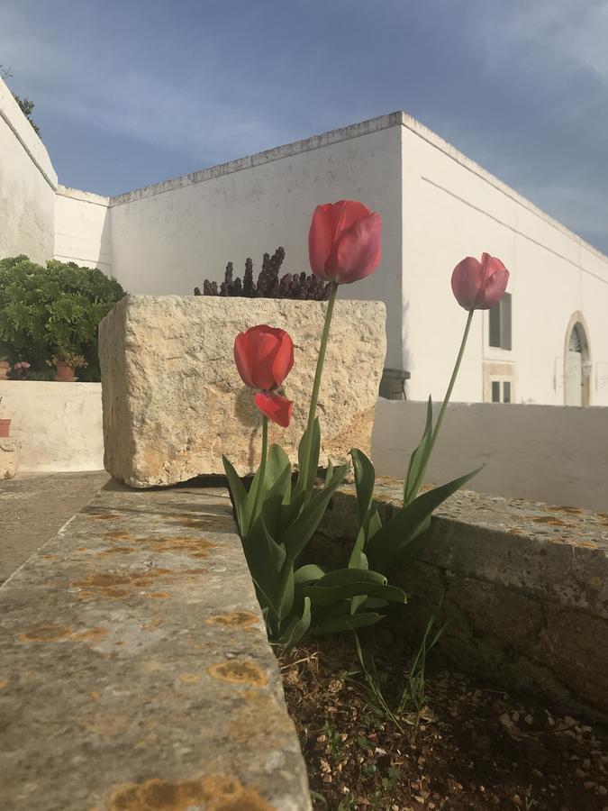 Masseria Rienzo Ostuni Exterior foto